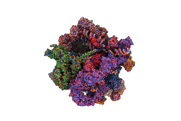 6RXU image