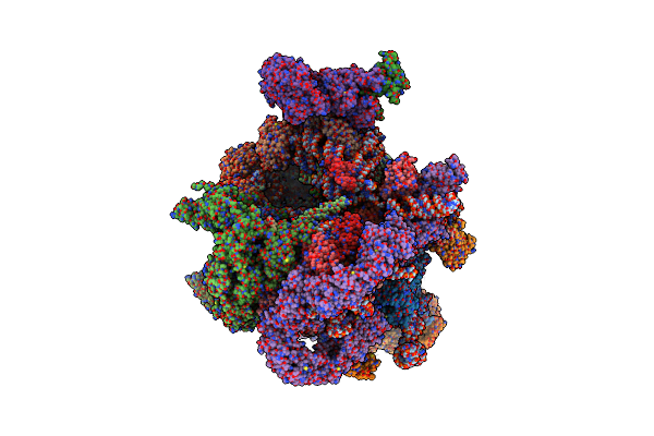 6RXV image