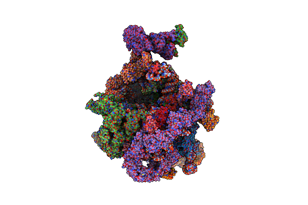 6RXZ image