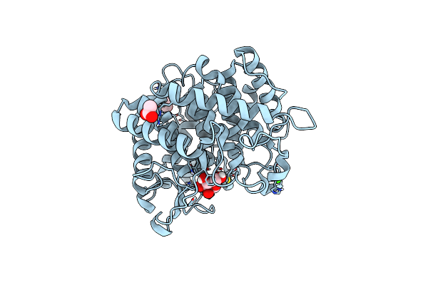 6RY1 image