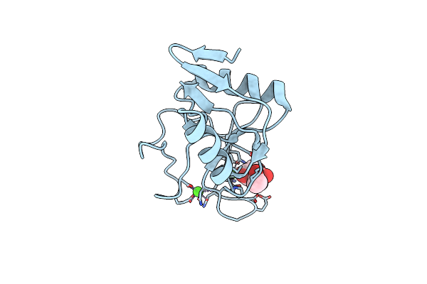 6RYM image