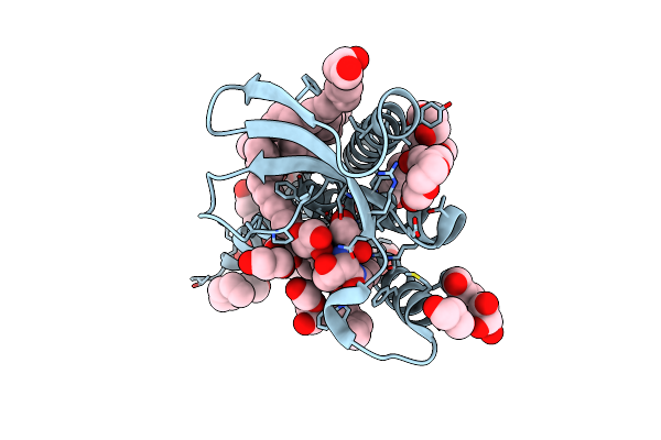 6RYO image