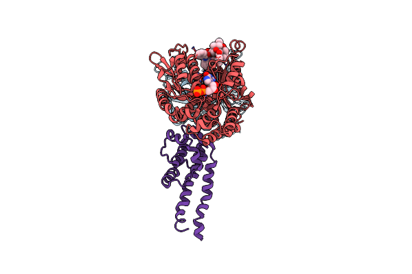 6RZB image