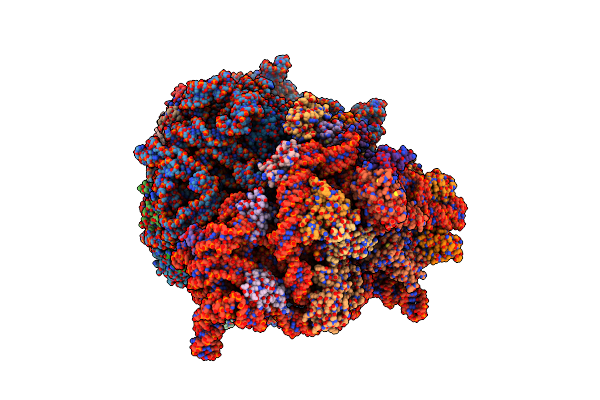 6S0X image
