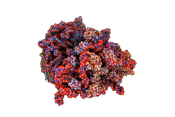 6S13 image