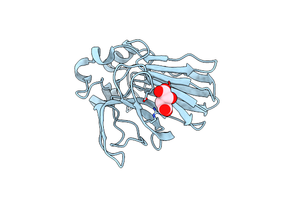 6S19 image