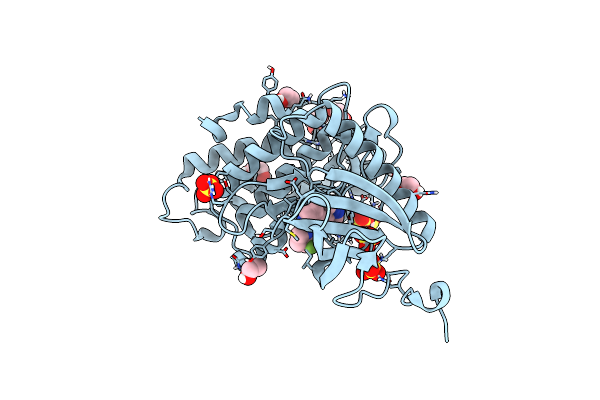 6S1J image