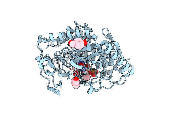 6S31 image