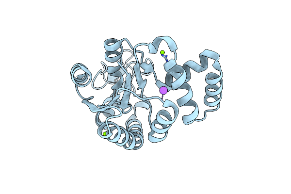 6S36 image