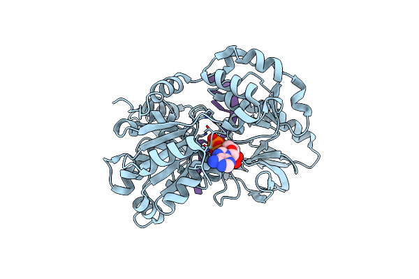 6S3O image