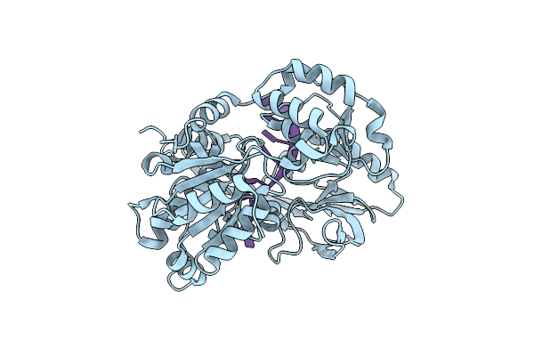 6S3P image