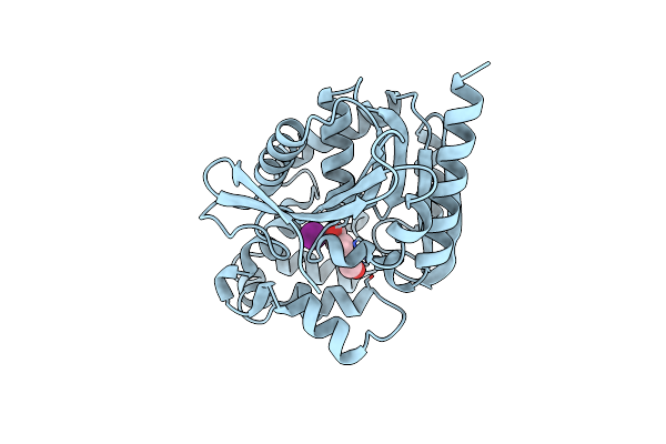 6S42 image