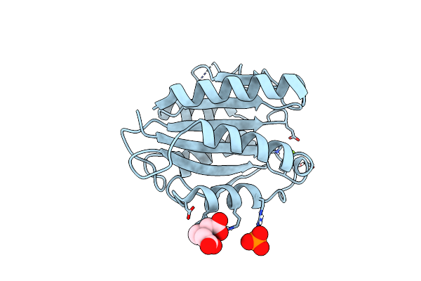 6S4C image
