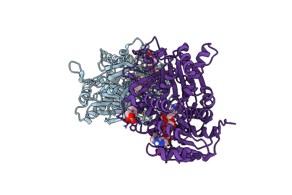 6S4D image