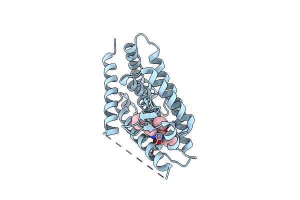 6S5K image