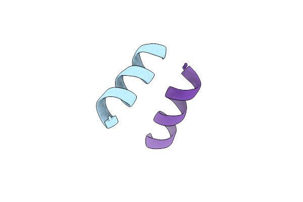 6S6N image