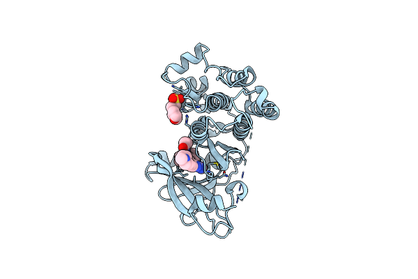 6S8A image