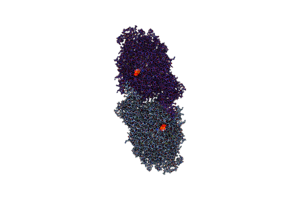 6S8F image