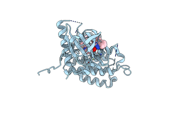 6S9C image