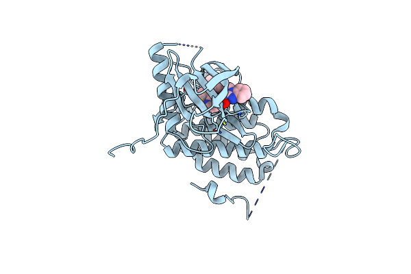 6S9D image