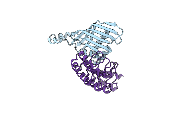 6S9S image