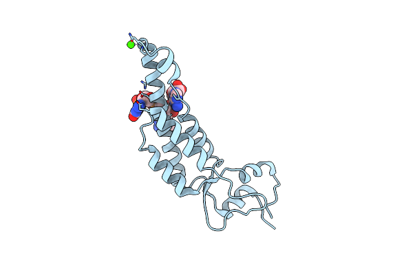 6SAG image