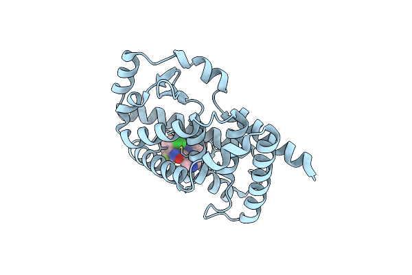 6SAL image
