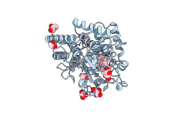 6SBE image