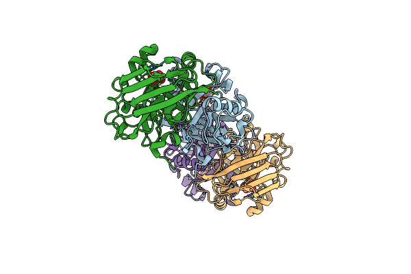 6SBI image