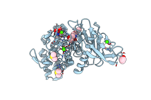 6SBK image