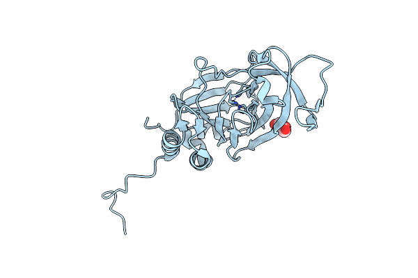 6SBP image