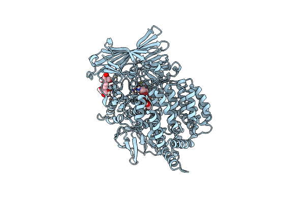 6SBR image