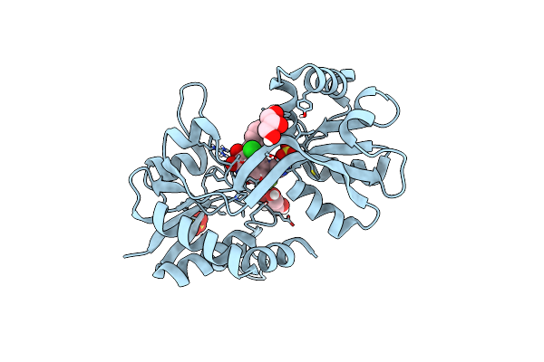 6SBT image