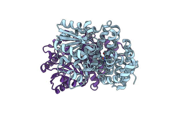 6SCI image