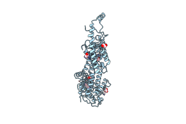 6SCM image