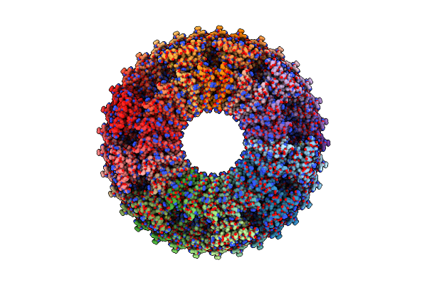 6SCN image