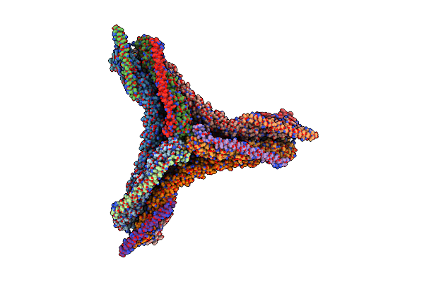 6SCT image
