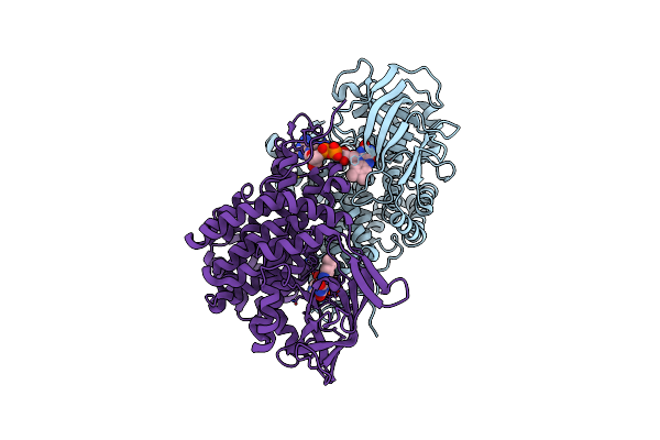6SD8 image