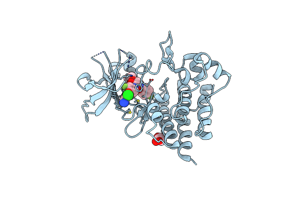 6SDD image