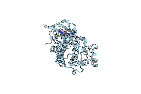 6SDE image