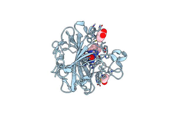 6SDH image