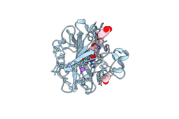 6SDL image