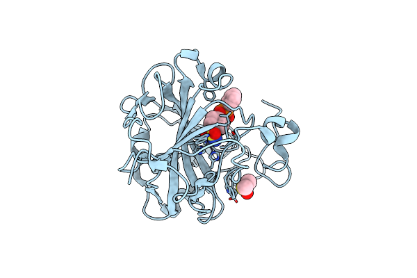 6SDS image