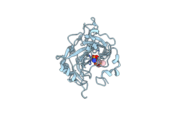 6SDT image