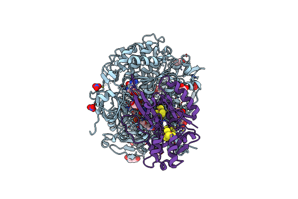 6SDV image