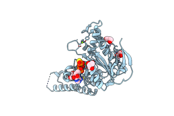 6SDX image
