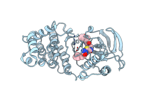 6SFI image