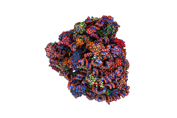 6SGC image
