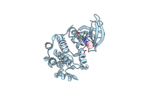 6SGK image