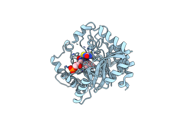 6SGM image